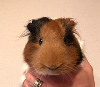 な8.png